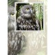 MAGNE GREETING CARD Wisdom Owl